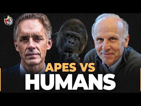 Primatologist Explains the 1% Difference Between Humans & Apes | Richard Wrangham | EP 249