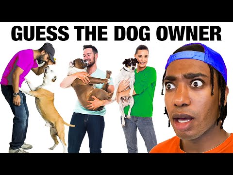 Match The Puppy To The Owner