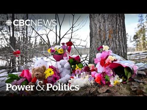 Survivor of one of Canada’s first school shootings reflects | Power & Politics