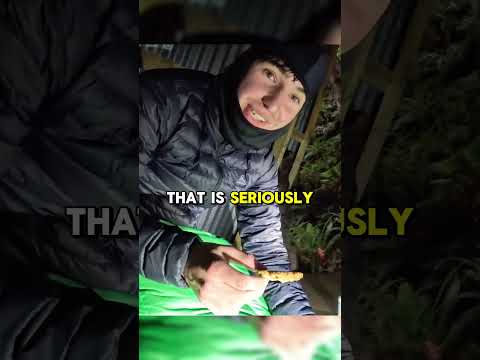 Rainstorm Camping In a Hidden Mountain Shelter