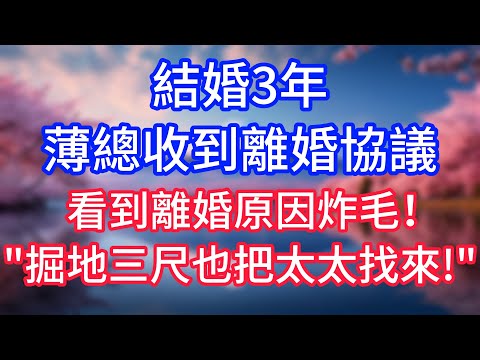 【情感故事】結婚3年,薄總收到離婚協議,看到離婚原因當場炸毛!掘地三尺也把太太找來!#故事 #人生哲理