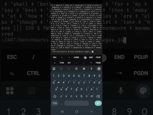 Compiling a 116KB Regex Pattern to Match All Words in Moby Dick - JavaScript Adaptive Radix Tree