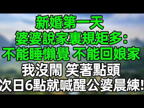新婚第一天,婆婆立规矩,早上6點起床做飯,我沒閙 笑著點頭,次日6點公婆被我喊醒:別睡懶覺 起來吃飯!#深夜淺讀 #夜讀人生 #大橘講故事 #情感故事 #講故事 #幸福生活 #深夜故事