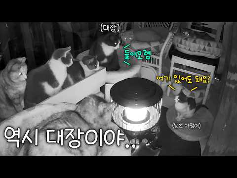 역시 대장은 아무나 하는 게 아니야.