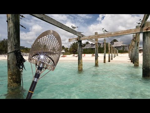 Metal Detecting the Bahamas for Treasure