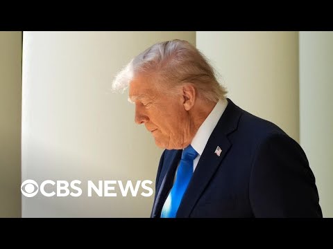 Lawyers protest Trump administration on May Day