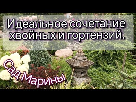 Удивительный сад ! Покорил сердца своей индивидуальностью. В Гостях у Марины