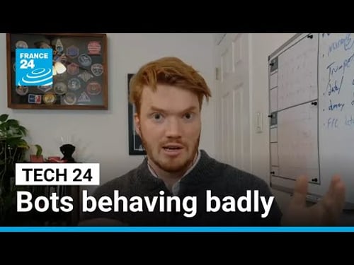 First victim of AI agent harassment warns 'thousands' more could be next β’ FRANCE 24 English