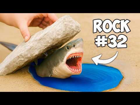 I Flipped 100 Beach Rocks, Here’s What I Found