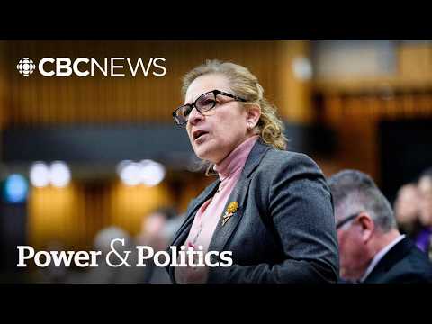 Carney’s immigration minister under fire from community groups, opposition | Power & Politics