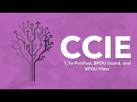 CCIE Topic: 1.1e PortFast, BPDU Guard, BPDU Filter