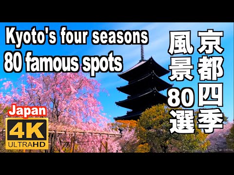 京都の四季 彩り風景80選 Kyoto's four seasons 80 famous spots 京都観光 春 桜 新緑 梅雨 新緑 夏 秋 紅葉 冬 雪景色 早春 京都観光 名所 季節の風景