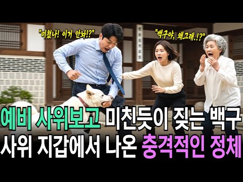 예비 사위 보고 미친듯이 짖는 백구, 사위 지갑에서 나온 충격적인 정체는?? 인생이야기|눈물사연|마음을울리는이야기