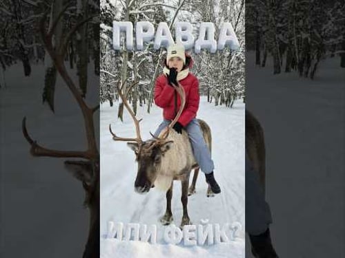 Правда или Фейк?