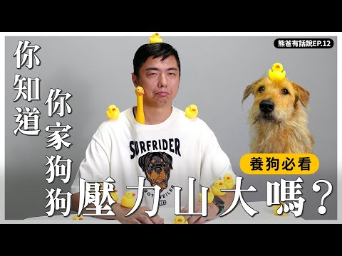 必看!好狗人的關鍵一課,掌握狗狗壓力指數!【熊爸有話說】|熊爸估狗