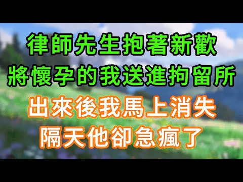 律師先生抱著新歡,將懷孕的我送進拘留所,出來後我馬上消失,隔天他卻急瘋了! #情感故事 #為人處世 #生活经验