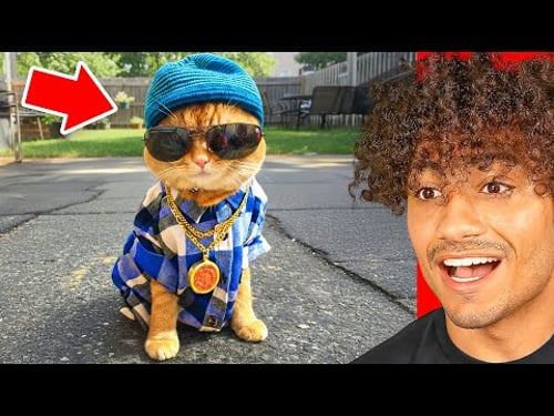 87 Funniest TikToks On The Internet..