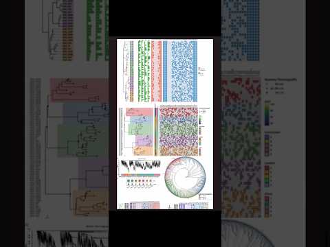 Learn Bioinformatics and Gene Family Data visualization using Python & R