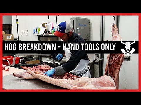 Hog Breakdown - Hand Tools Only