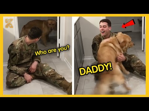 💕FULL Most Heartwarming Animals Reunion with Their Owners 💘 That Will Tug at Your Heartstrings