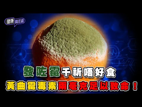 發咗霉千祈唔好食 黃曲霉毒素兩毫克足以致命! | 健康關注組 | EP305 | 黃曲霉毒素 | 敖嘉年 | 朱智賢 | HOY TV 77台