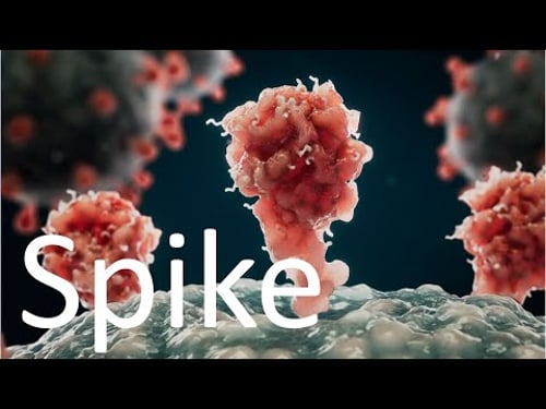 Body cell destruction