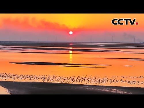 中式美学天花板!“浮光跃金”具象化了 | CCTV