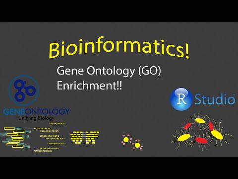 Bioinformatics - Gene Ontology (GO) Enrichment Analysis