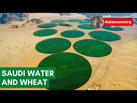 Saudi Arabia's Crazy Wheat Self-Sufficiency Policy