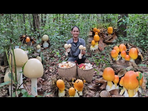 จัดหนักจัดเต็ม!! หมานๆโพดๆโพๆระโงก!!28พ.ค67หมานๆครับ