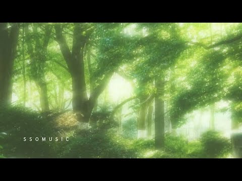 Afternoon in Kamakura: Where the Wind Stayed