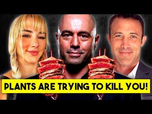 The Carnivore Diet: Why Does It Work So Well?