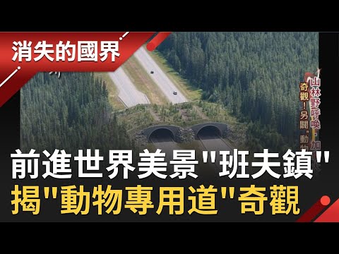 前進"人間天堂"班夫國家公園!班夫小鎮常住人口不得超過1萬人 周遭建立保護區 專門為動物打造41座"動物專用道"讓牠們不必冒險過馬路!│李天怡主持│【消失的國界完整版】20201226│三立新聞台