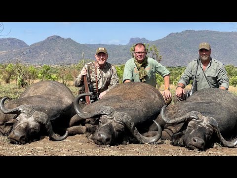Uganda Buffalo & Plainsgame Hunt 2021 Tim Herald/Jay Cohea Worldwide Trophy Adventures