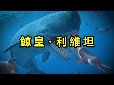 利維坦鯨:史上最強大的鯨魚! 巨食性抹香鯨不止這一種