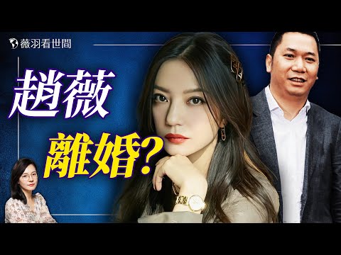 趙薇離婚切割!資產疑雲和禮貌性上床,她捲入了什麼樣的黑幕?|薇羽看世間 20241230