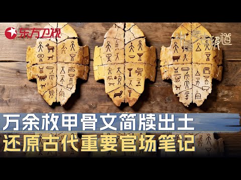考古重大发现! 万余枚甲骨文简牍出土, 还原三千年前古代重要“官场笔记” #中国考古报道 FULL
