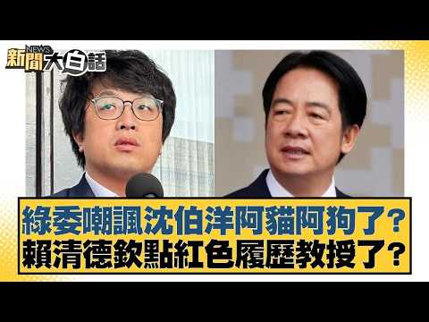 綠委嘲諷沈伯洋阿貓阿狗了?賴清德欽點紅色履歷教授了?【#新聞大白話】20260317-8|#謝寒冰 #何景榮 #單厚之 @tvbstalk
