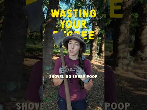 there’s no such thing as "wasting" your degree! #careerchange #motivation