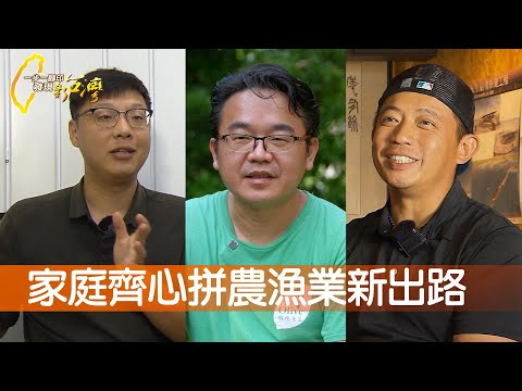 橄欖父子拚家鄉出路/家鄉石斑魚新轉型/小丑魚教會我的事/媽媽的重心檸檬園∣一步一腳印【完整版】20231029