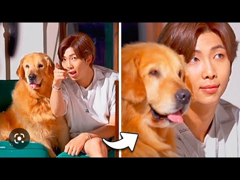 BTS (방탄소년단) with animals #2