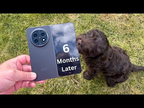 OPPO Find N5 - 6 Months Later!