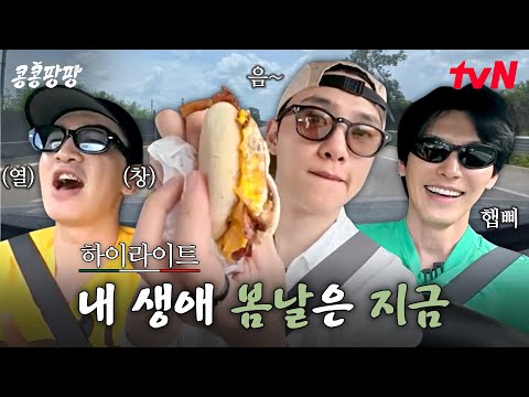 먹방부터🍔 달리는 노래방까지💨 KKPP푸드와 리오 라가르토스로 함께 떠나요🚗💨 #highlight#콩콩팡팡 EP.6