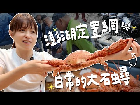 這隻震驚我三觀的大石蟹,澎湖是什麼海鮮怪物集合地嗎?