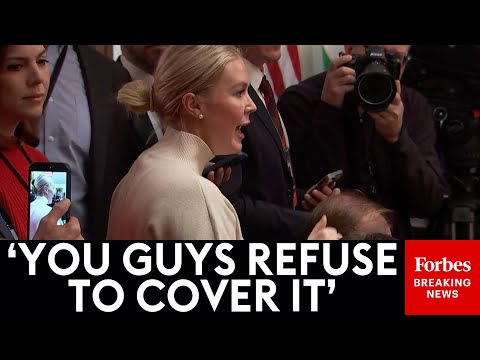 Karoline Leavitt Admonishes Reporters During Trump's Meeting With Viktor Orbán