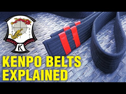 How Kenpo Black Belts are Different From Karate