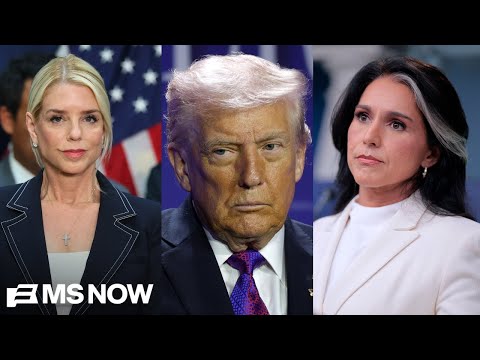 ‘Dangerous clown car for democracy’: Why Trump officials can’t keep their story straight on Gabbard