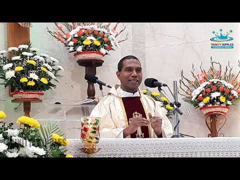 தமத்திரித்துவ இறையரசு | Fr. Jegath Gaspar