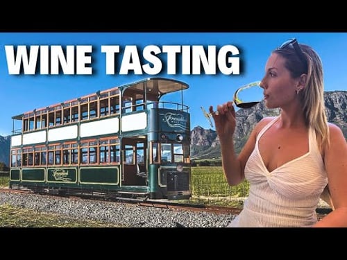 Is This South Africa's Best Wine Tour? | Franschhoek Wine Tram πΏπ¦