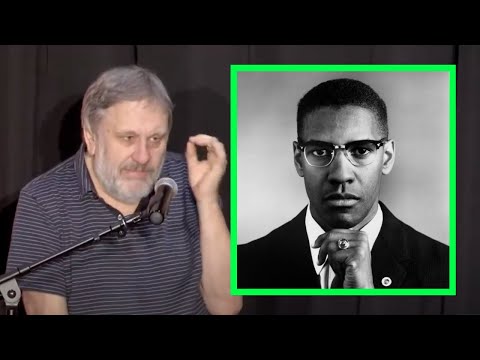 Slavoj Zizek — Malcolm X, multiculturalism & universalism
